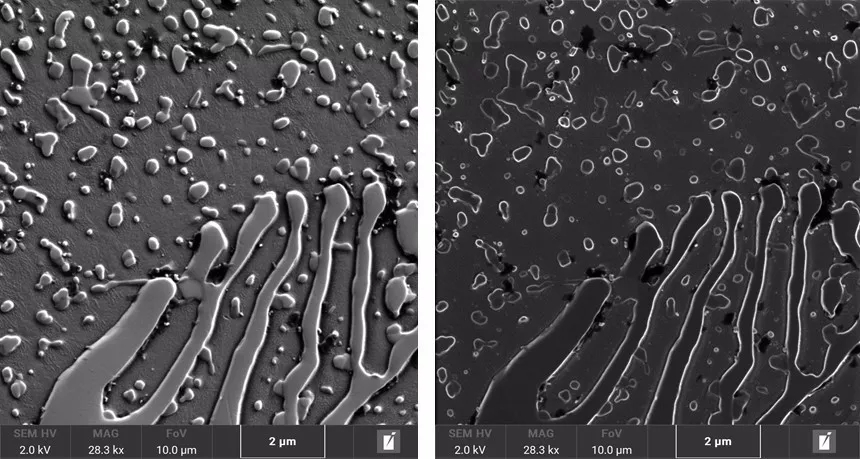 阜阳阜阳蔡司阜阳扫描电镜