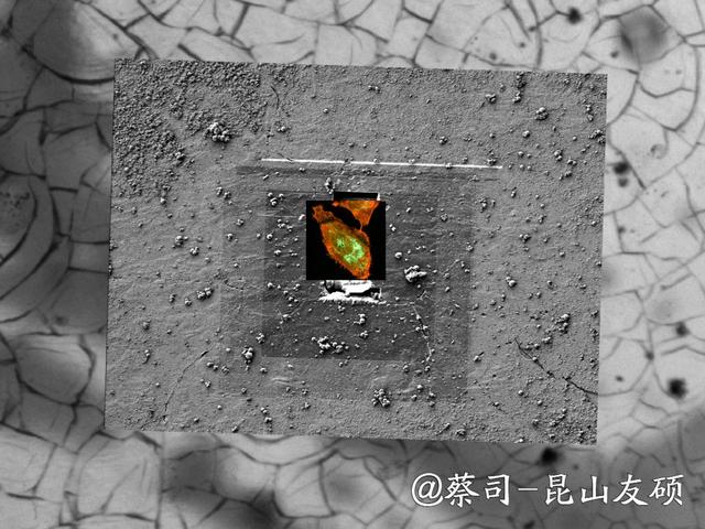 阜阳阜阳蔡司阜阳扫描电镜