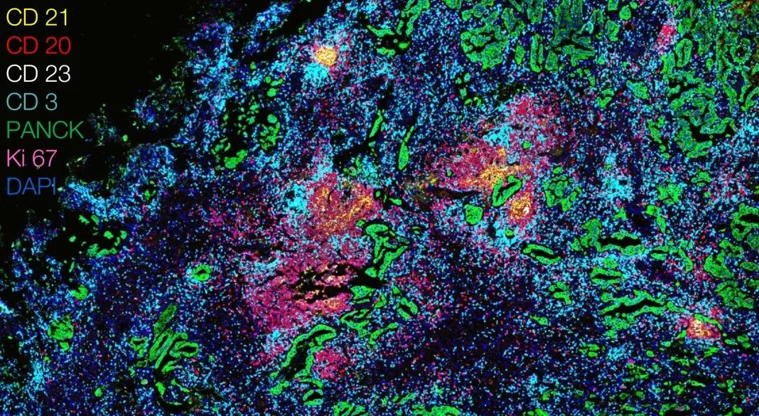 阜阳阜阳蔡司显微镜