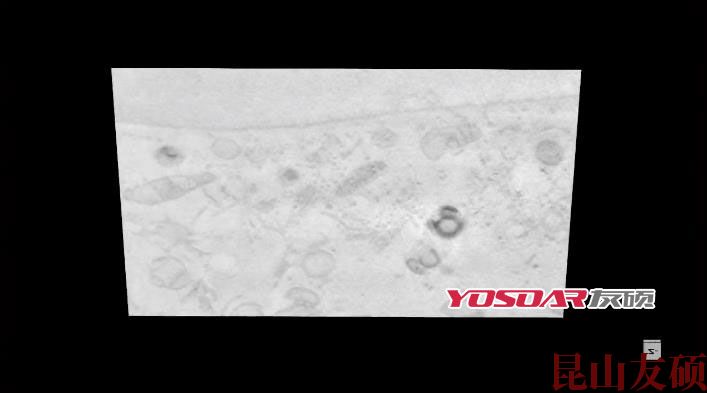 FIB阜阳扫描电镜