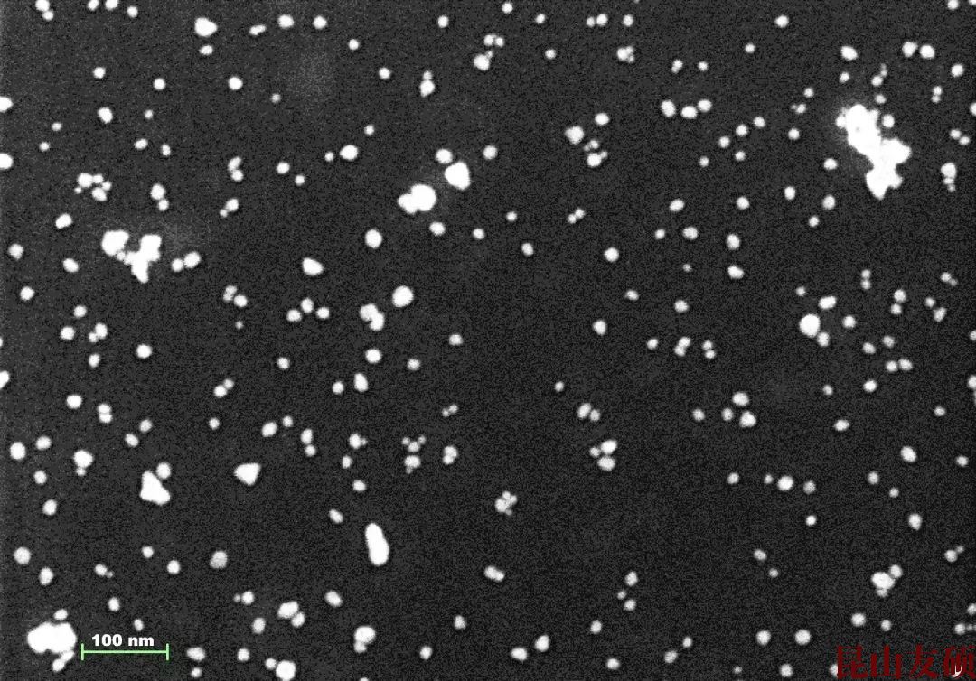 阜阳阜阳蔡司阜阳扫描电镜