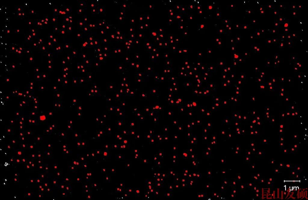 阜阳阜阳蔡司阜阳扫描电镜