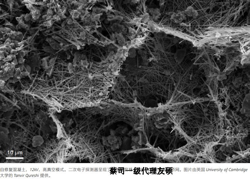 阜阳阜阳蔡司阜阳扫描电镜