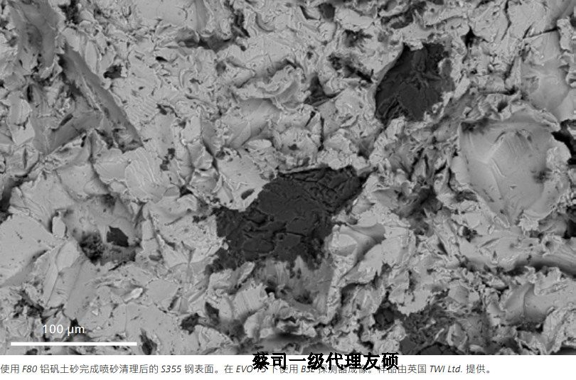 阜阳阜阳蔡司阜阳扫描电镜EVO