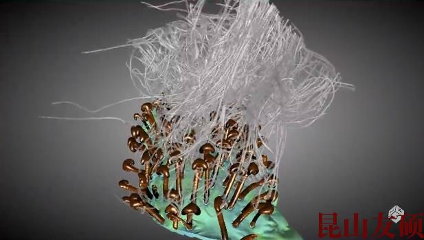 阜阳蔡司阜阳X射线显微镜